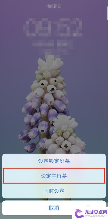 苹果xr怎么换手机壁纸 iPhone XR手机如何设置屏幕壁纸