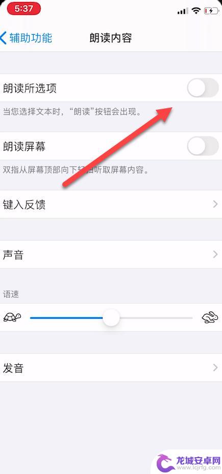 苹果手机文字怎么朗读 iphone语音朗读文字的操作步骤