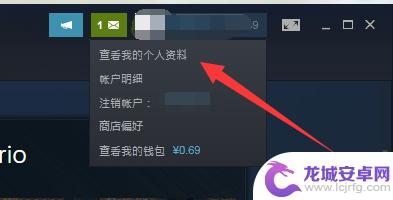 怎么公开steam steam隐私设置如何公开