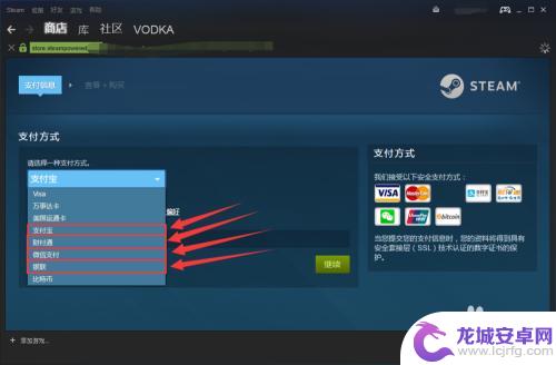 steam游戏哪儿的最便宜 Steam上如何购买最便宜的游戏