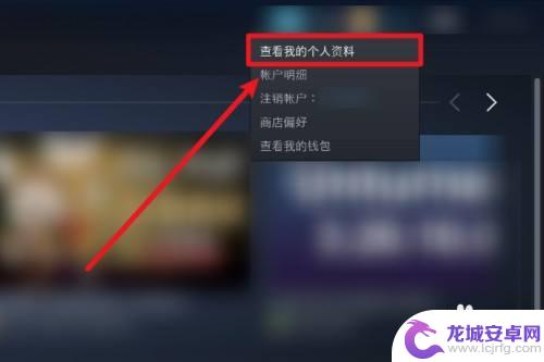 Steam 不公开的最新消息，让你探索未公开的世界