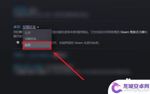 Steam 不公开的最新消息，让你探索未公开的世界